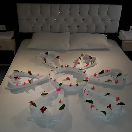 Hotel Midnight Sun